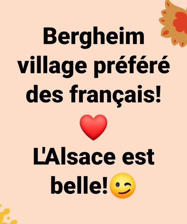 La Maison Des Tanneurs ريبوفيل المظهر الخارجي الصورة
