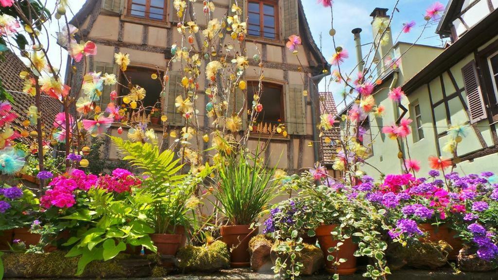 La Maison Des Tanneurs ريبوفيل المظهر الخارجي الصورة